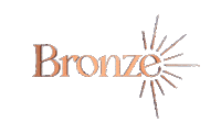 Bronze Sticker by Pandora Car Alarms