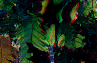 processing pixels GIF by Adam Ferriss