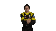 Celebrating Ntt Indycar Series Sticker by INDYCAR