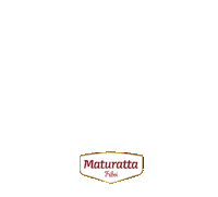 maturattafriboi bbq grill beef carne Sticker