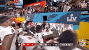 Super Bowl Football GIF by NFL
