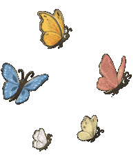 Butterfly Falter Sticker by Jupitermond Verlag