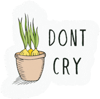 plantum plant plants insect onion Sticker