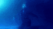 Nia Lovelis Swimming GIF by Hey Violet