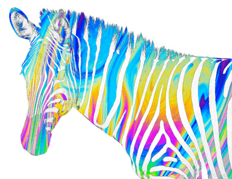 Rainbow Zebra Sticker by Discovery