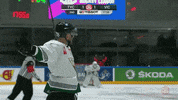 Gks Tychy Yes GIF by Champions Hockey League