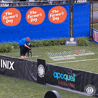 Dog Running GIF by American Kennel Club