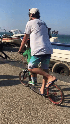 SwiftyScooters giphyupload GIF