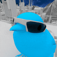 Bird GIF
