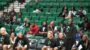 emueagles goeagles GIF by EMU Athletics