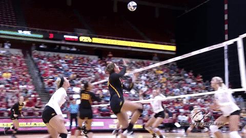 volleyball GIF by University of Iowa Hawkeyes Athletics