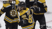Ice Hockey Sport GIF by NHL