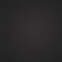 Crypto Elon GIF by decentrelon