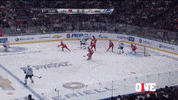 hockey goal GIF by ONE World Sports
