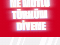 Turkey GIF by Socinflu