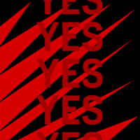 Bayer 04 Soccer GIF by Bayer 04 Leverkusen