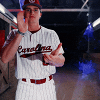 Home Run Celebration GIF by Gamecock Athletics