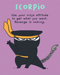 Cat GIF by Mumosa & Ragout