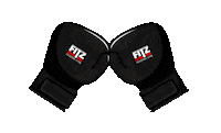 fitzgym boxing punch fitz boksen Sticker