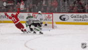 Happy Red Wings GIF by NHL