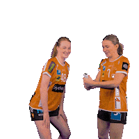 OdenseHaandbold orange handball konfetti handbold Sticker