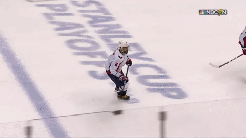 stanley cup nhl GIF