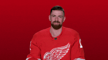 Red Wings Sport GIF by Detroit Red Wings