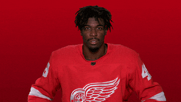 Red Wings Sport GIF by Detroit Red Wings