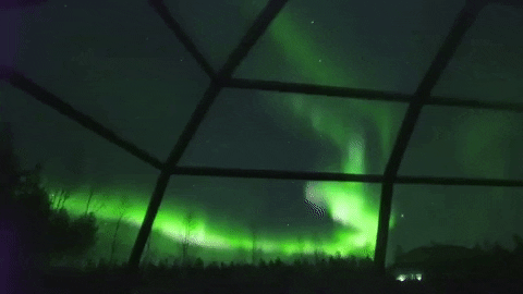 yj_jane giphygifmaker GIF