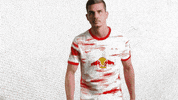 Looking Good Champions League GIF by RB Leipzig