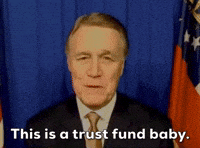David Perdue Trust Fund Baby GIF by GIPHY News