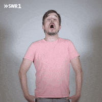 Surprise Wow GIF by SWR1
