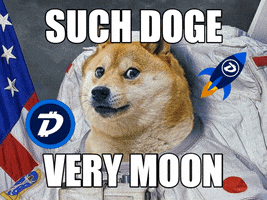 Invest Shiba Inu GIF by DigiByte Memes