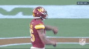 Regular Season Football GIF by NFL