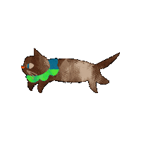 Cat Run Sticker