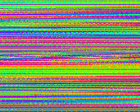 loop 12 colors GIF by Kim Asendorf