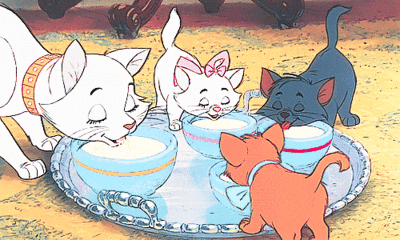 milk GIF