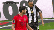 Sl Benfica What GIF by Sport Lisboa e Benfica