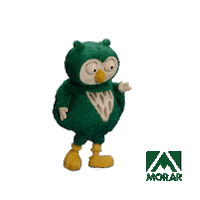 Dance Feliz Sticker by Morar Construtora