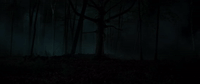 sony pictures GIF by Slender Man Movie