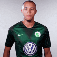 i got it agree GIF by VfL Wolfsburg