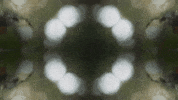 Art Film GIF by jorgemariozuleta