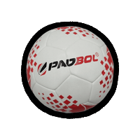padbol_official  Sticker