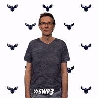 Swr3 What GIF