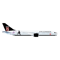 Toronto Raptors Sticker by Air Canada