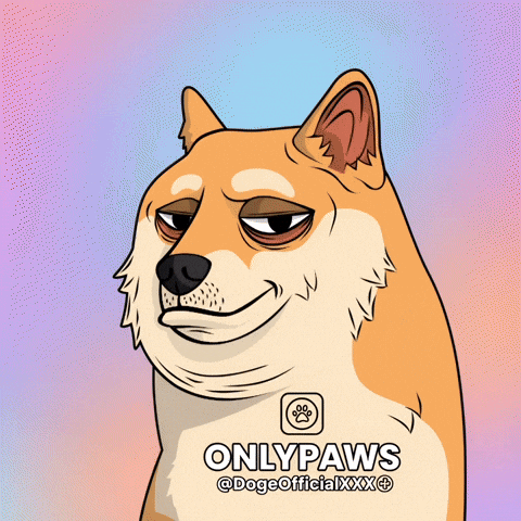 Shiba Inu Dog GIF by Doge Pound
