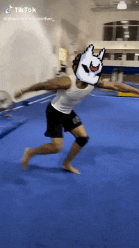 tinycolony gamer solana tinycolony blockchain games GIF