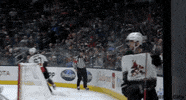 Happy Ice Hockey GIF by NHL