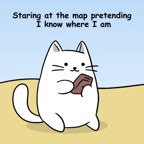 Road Trip Confusion GIF by MESA My Emotional Support Animal
