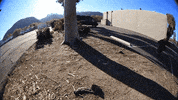 blackplaguebrewing craft beer beer cans beer pour black plague GIF